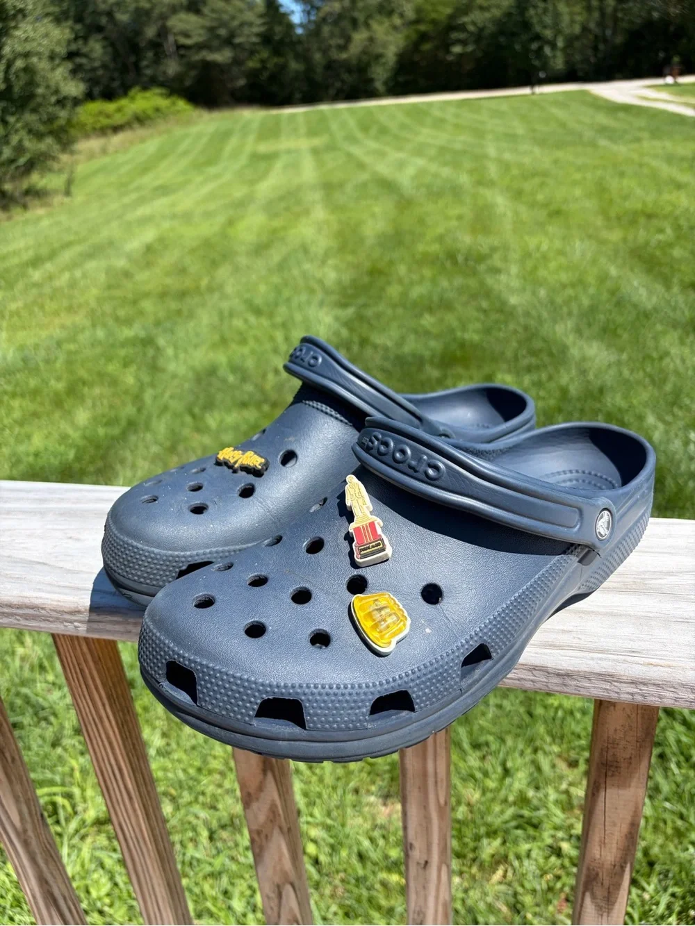 Crocs Blue Men’s Size 12 -Adult Classic Clogs With Charms The Office Harry